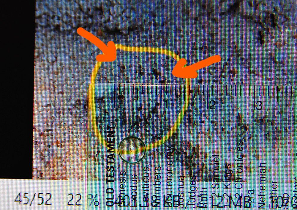 With the same zoom setting, the claw marks spread across 1 centimetre - Make an Instant Tracking Box to Learn Animal Tracking - Survival.ark.au