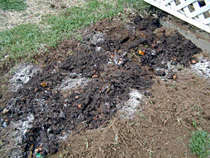 Starting a Vegie Garden - Digging in the Compost